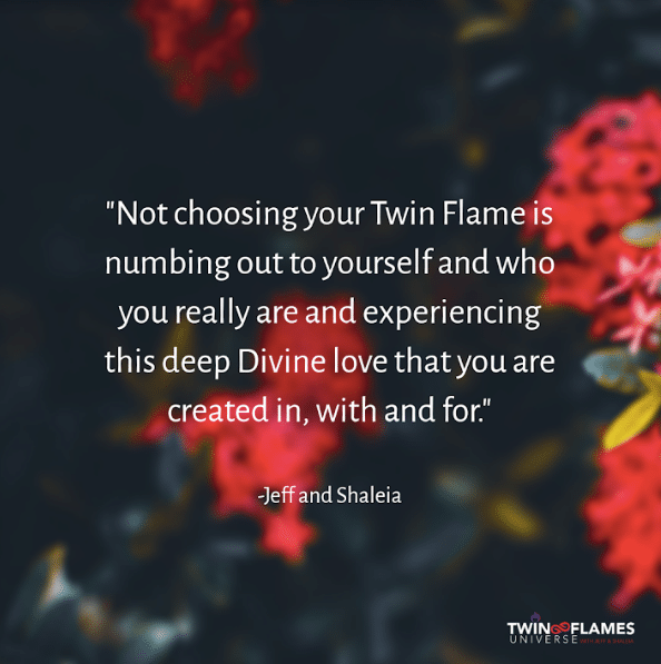 The Twin Flame - Forever Conscious