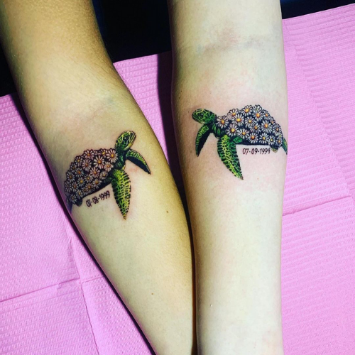 turtles with flower shells