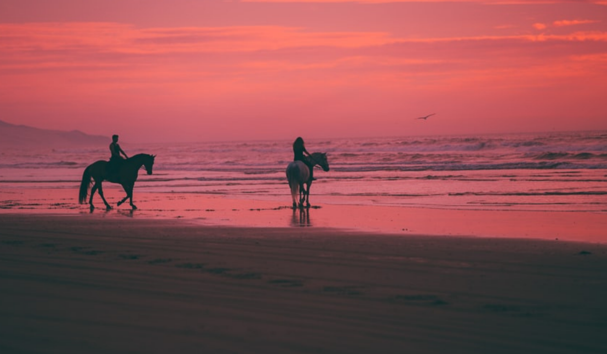 couple riding horses on the beach