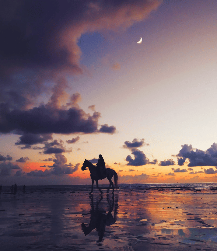 divine feminine rides horse at sunset