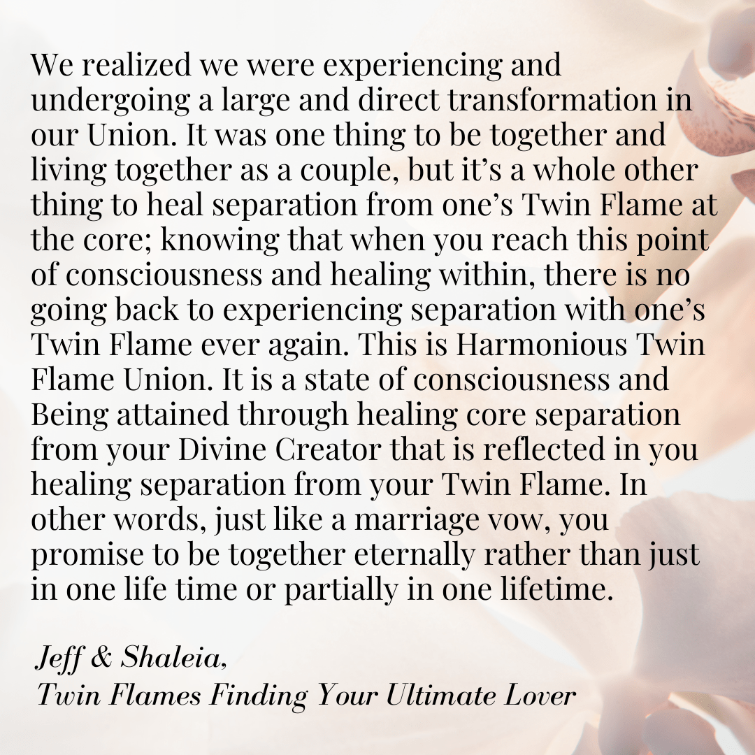 The Twin Flame - Forever Conscious