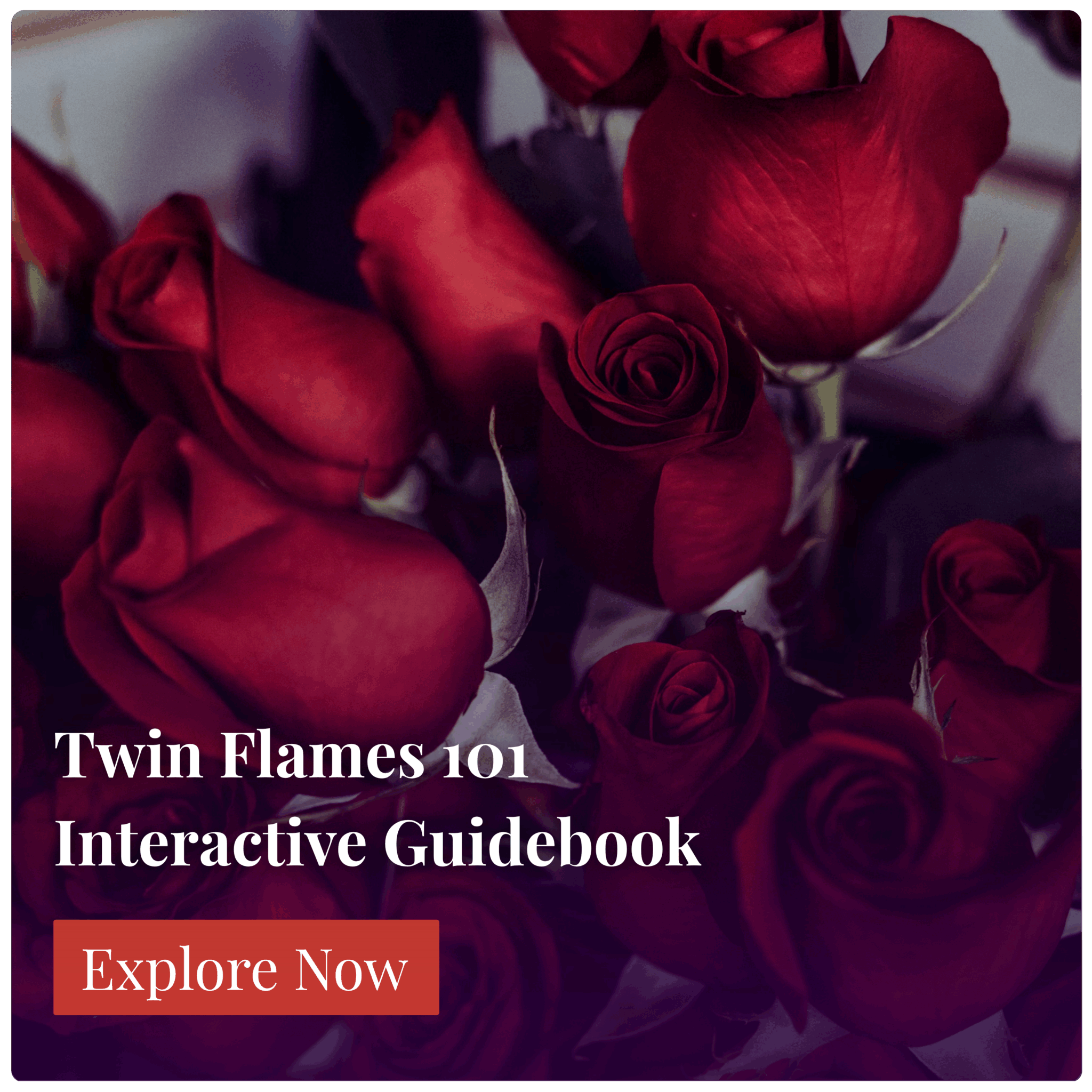 Twin Flames 101 Interactive Guidebook - Download Now